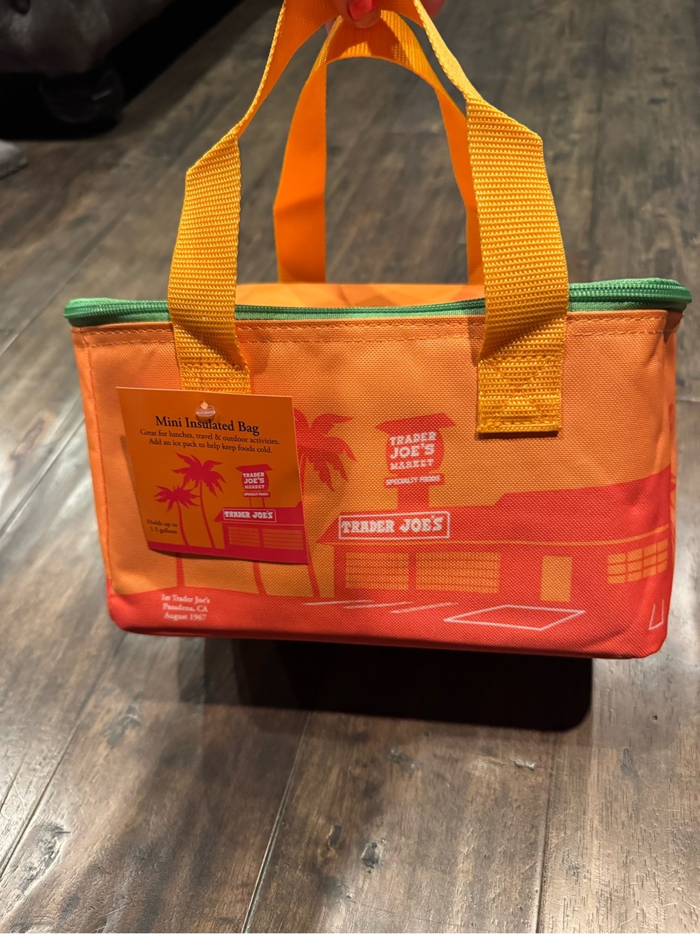 Trader Joe’s Mini Insulated Tote